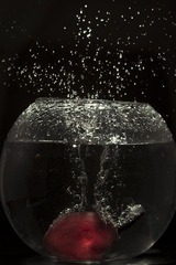fruit-2