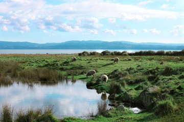 FARM_00004
