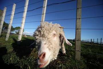 FARM_00012