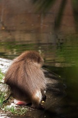 DPP_00016
