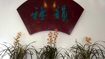 DPP_00024