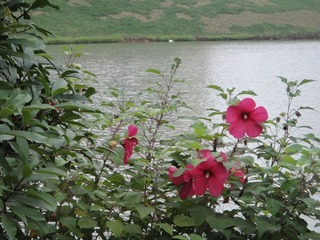 DSC00250.JPG