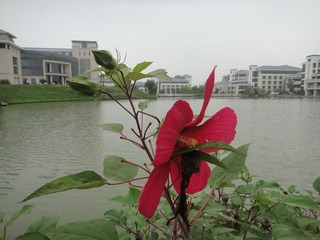 DSC00252.JPG