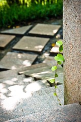 IMGP9437.jpg