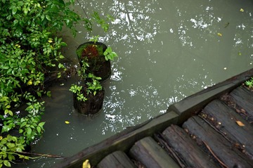 IMGP9286.jpg