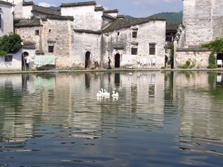 RIMG0736