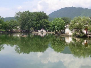 RIMG0781