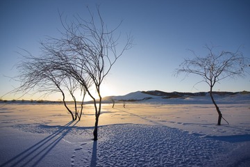 _DSC3363