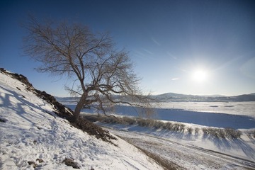 _DSC3579