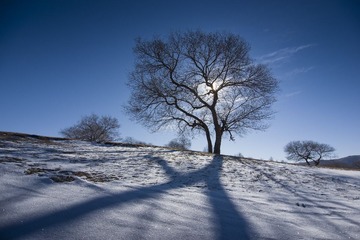 _DSC3649