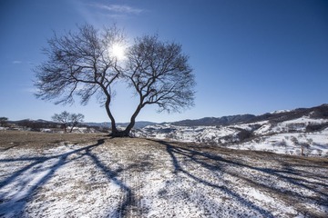 _DSC3651
