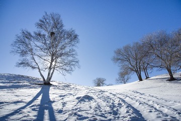 _DSC3707