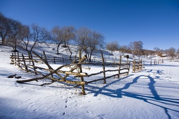 _DSC3710