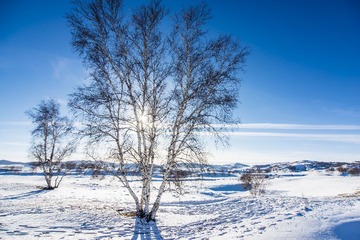 _DSC3751F