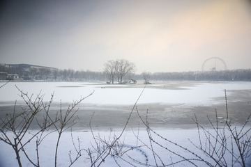 _DSC4430
