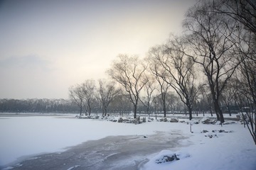 _DSC4437