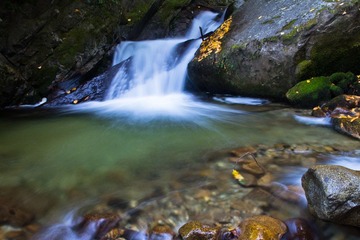 IMG_0693.jpg