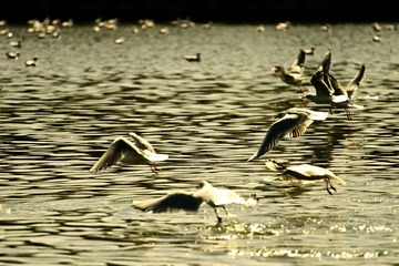 IMG_3891.jpg