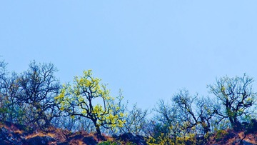 IMG_8746.jpg