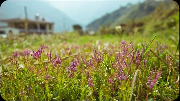 IMG_8916-2.jpg