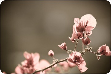 IMG_9206.jpg
