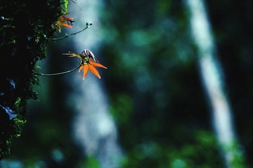 IMG_8999.jpg