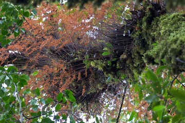 IMG_9081.jpg