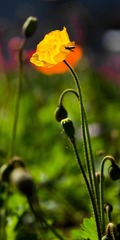 IMG_3980-3.jpg