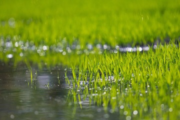 IMG_1090-2.jpg