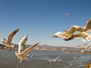 IMG_4223.jpg