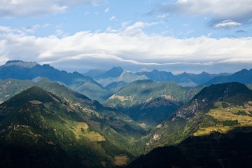 IMG_9849.jpg