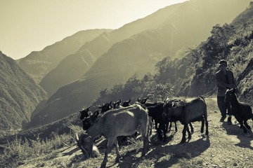 IMG_9950.jpg