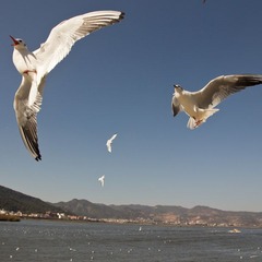 IMG_4261.jpg