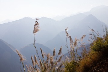IMG_1062.jpg