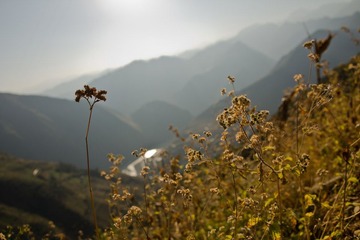IMG_1094.jpg