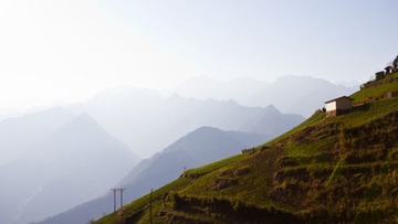 IMG_1113.jpg