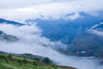 IMG_5020.jpg