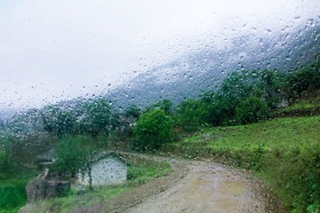 IMG_4845.jpg