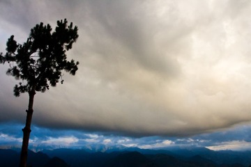 IMG_5904.jpg