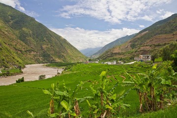 IMG_7499-2.jpg