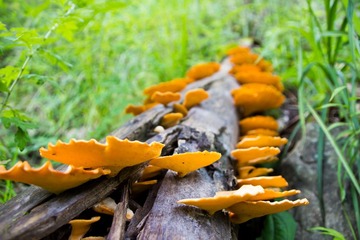 IMG_8744.jpg