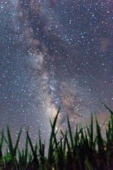 IMG_9006.jpg