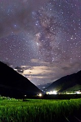 IMG_8984.jpg