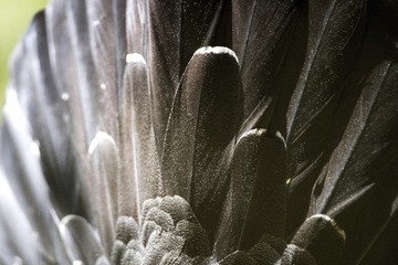20130919_173123