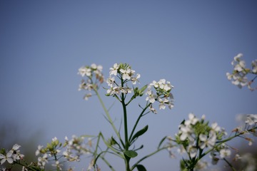 0D5AA272-61F0-4E31-8FBC-0308F3112D5C/L0/001