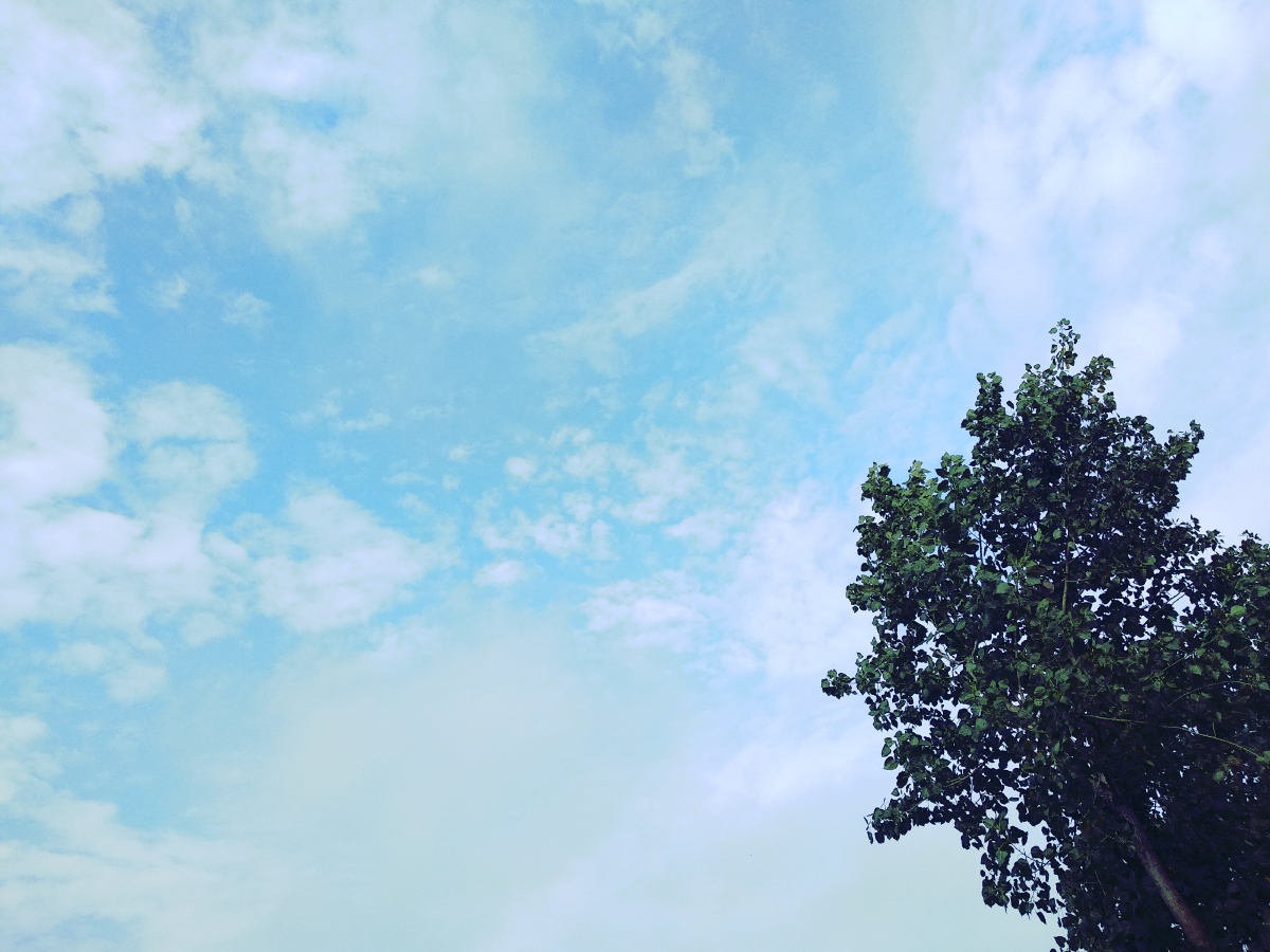 可能还是自己家的天空更让人舒服新鲜的空气