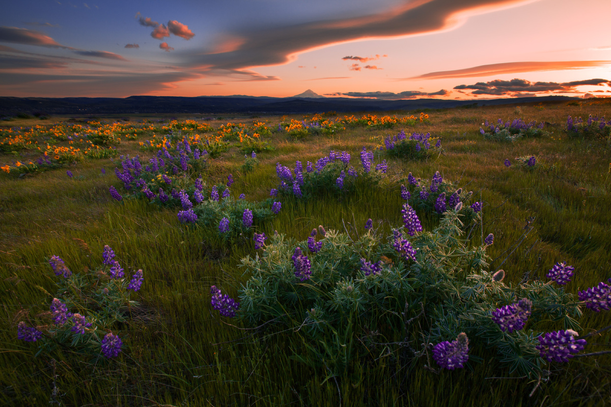 小米画报摄影大赛