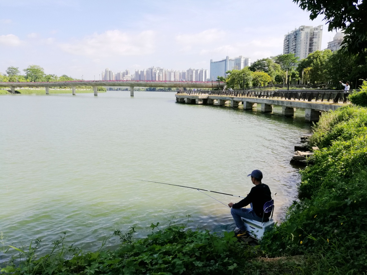 慢钓好时光——清远市北江边手机拍摄