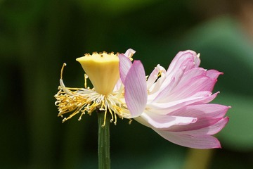 99213