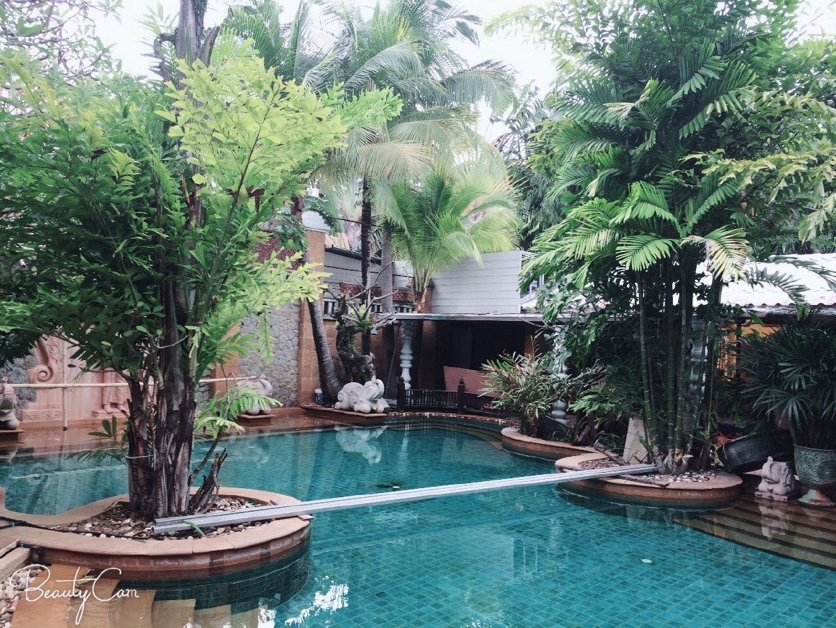 长沙樱花温泉消费多少钱,一元车到黄花镇泡泡脚打乒乓球免费